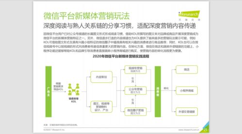 2020中国新媒体营销策略白皮书 